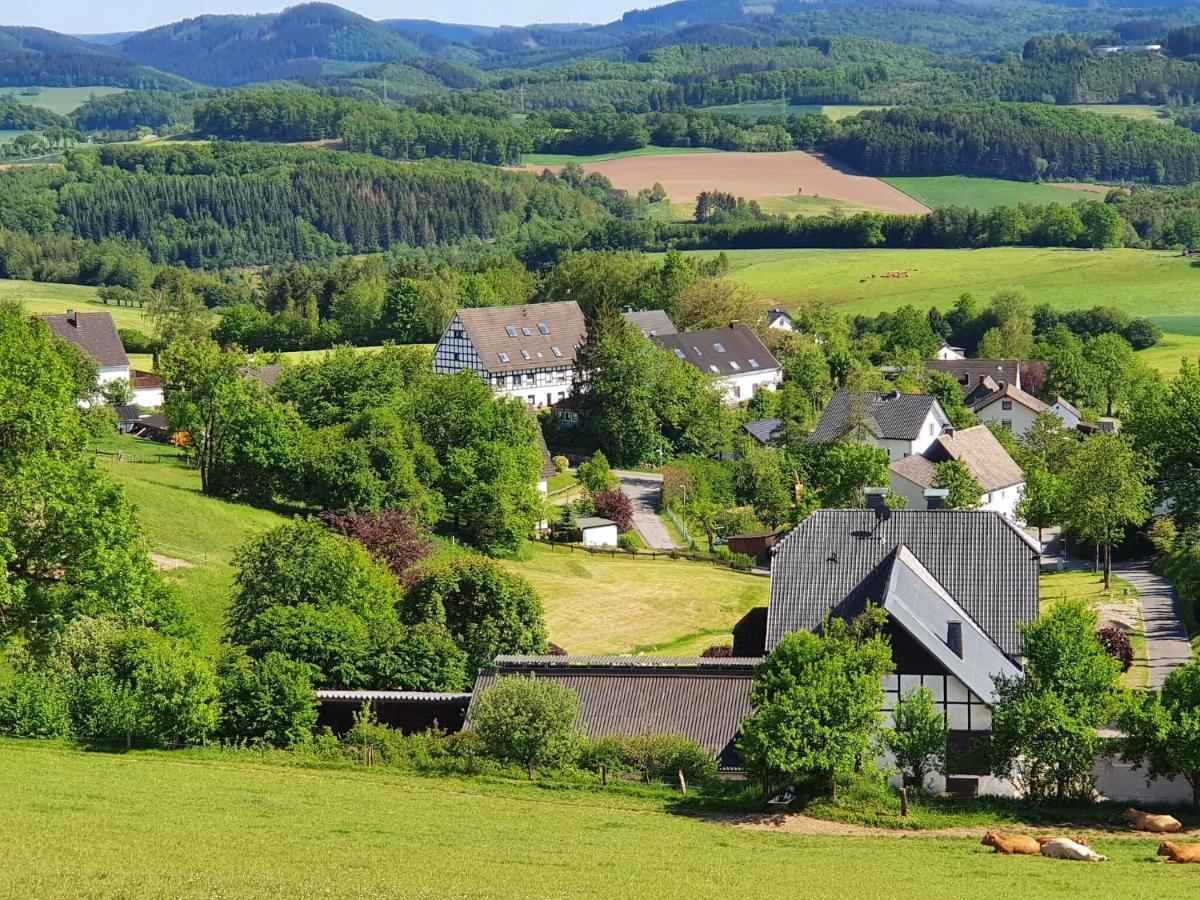 Flat With Private Pool In Sauerland Apartment Attendorn Exterior photo